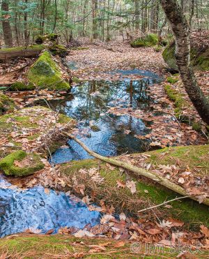 14   DN215-North-Branch,-Tunis-River--Pan-(4).jpg